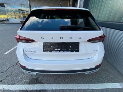 Skoda Octavia Gebrauchtwagen Skoda Octavia Gebrauchtwagen