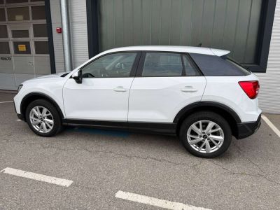 Audi Q2 Gebrauchtwagen Audi Q2 Gebrauchtwagen