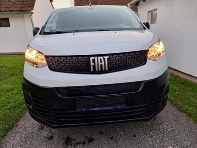 Fiat Scudo Gebrauchtwagen