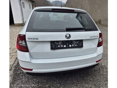 Skoda Octavia Gebrauchtwagen