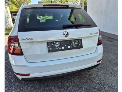 Skoda Octavia Gebrauchtwagen