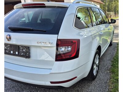 Skoda Octavia Gebrauchtwagen
