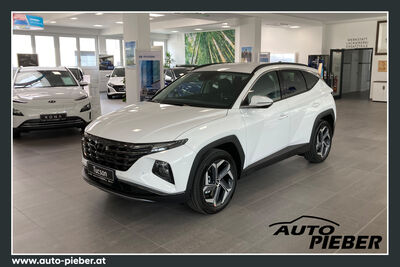 Hyundai Tucson Tageszulassung