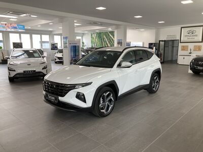 Hyundai Tucson Tageszulassung