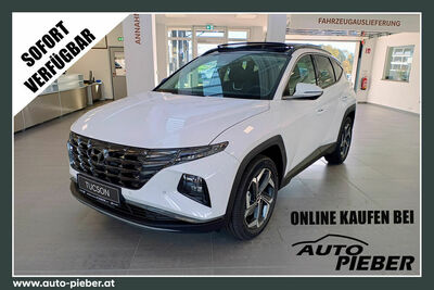 Hyundai Tucson Tageszulassung