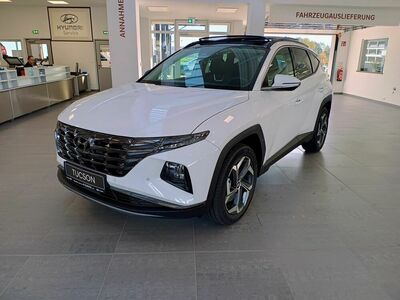 Hyundai Tucson Tageszulassung