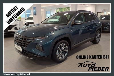 Hyundai Tucson Tageszulassung