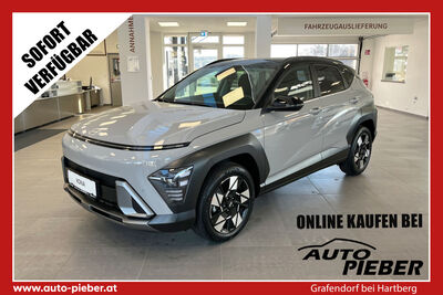 Hyundai Kona Tageszulassung