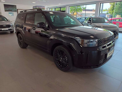 Hyundai Santa Fe Tageszulassung