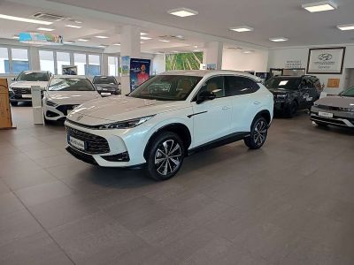 MG HS Tageszulassung