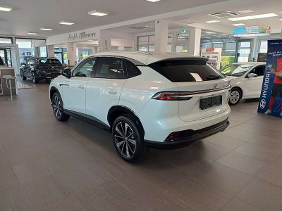 MG HS Tageszulassung