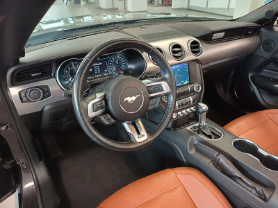 Ford Mustang Gebrauchtwagen Ford Mustang Gebrauchtwagen