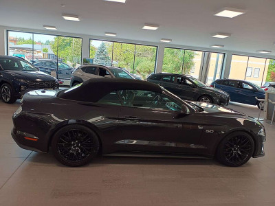 Ford Mustang Gebrauchtwagen Ford Mustang Gebrauchtwagen