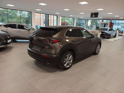 Mazda CX-30 Gebrauchtwagen Mazda CX-30 Gebrauchtwagen