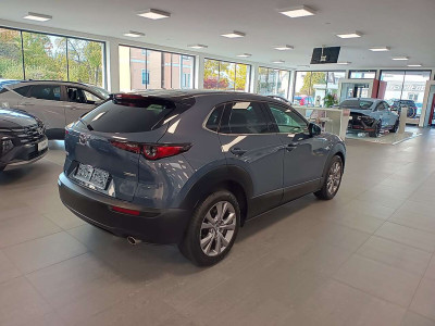 Mazda CX-30 Gebrauchtwagen Mazda CX-30 Gebrauchtwagen