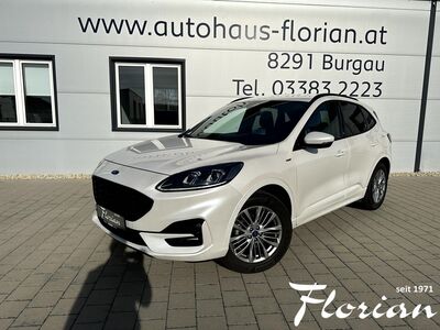 Ford Kuga Gebrauchtwagen