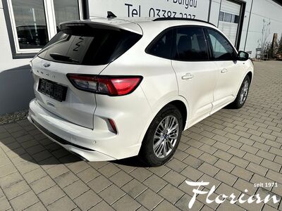 Ford Kuga Gebrauchtwagen