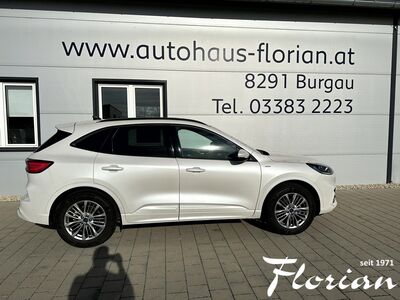 Ford Kuga Gebrauchtwagen