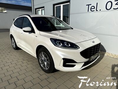 Ford Kuga Gebrauchtwagen