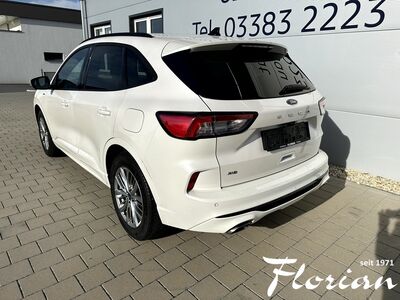 Ford Kuga Gebrauchtwagen