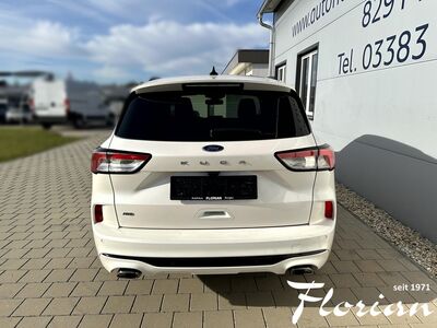 Ford Kuga Gebrauchtwagen