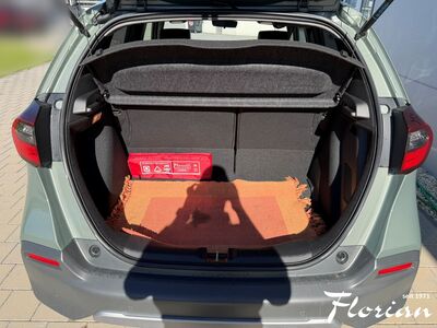Honda Jazz Vorführwagen