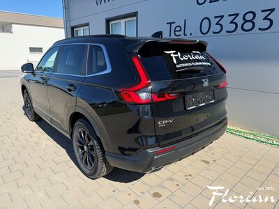 Honda CR-V Vorführwagen