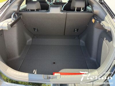 Honda Civic Vorführwagen Honda Civic Vorführwagen