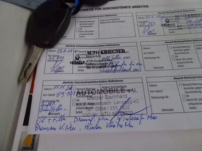 Renault Trafic Gebrauchtwagen