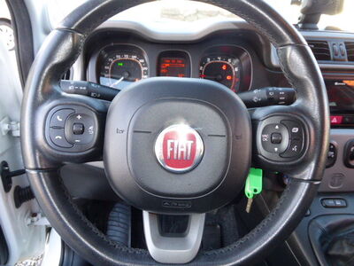 Fiat Panda Gebrauchtwagen Fiat Panda Gebrauchtwagen