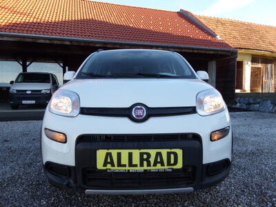 Fiat Panda Gebrauchtwagen Fiat Panda Gebrauchtwagen