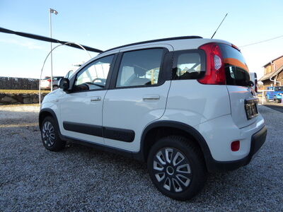 Fiat Panda Gebrauchtwagen Fiat Panda Gebrauchtwagen