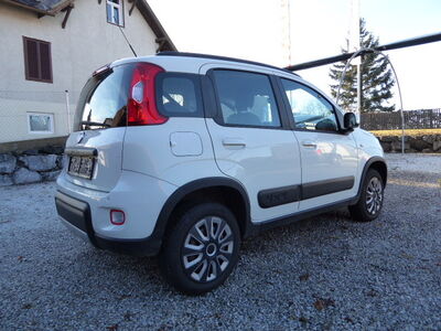 Fiat Panda Gebrauchtwagen Fiat Panda Gebrauchtwagen