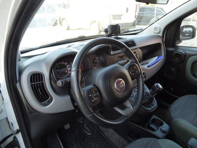 Fiat Panda Gebrauchtwagen Fiat Panda Gebrauchtwagen