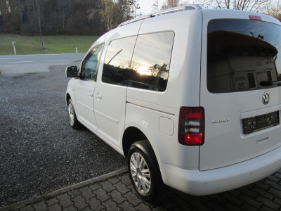 VW Caddy Gebrauchtwagen VW Caddy Gebrauchtwagen