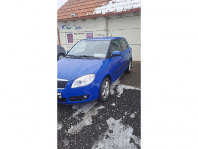 Skoda Fabia Gebrauchtwagen