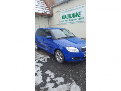 Skoda Fabia Gebrauchtwagen