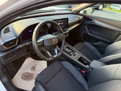 Cupra Formentor Gebrauchtwagen Cupra Formentor Gebrauchtwagen