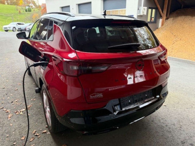 Opel Grandland Gebrauchtwagen