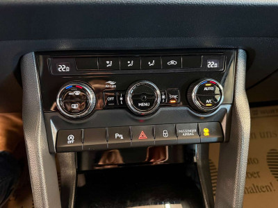 Skoda Karoq Gebrauchtwagen