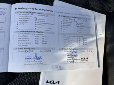KIA Niro Gebrauchtwagen KIA Niro Gebrauchtwagen