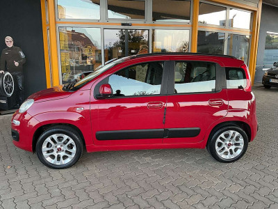 Fiat Panda Gebrauchtwagen
