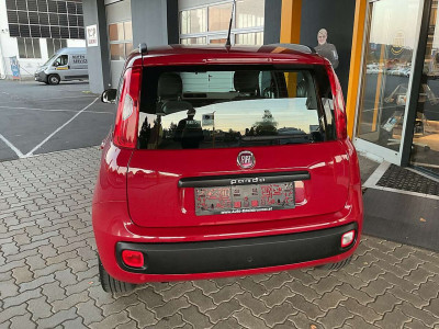 Fiat Panda Gebrauchtwagen