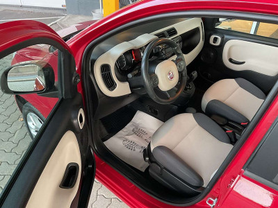 Fiat Panda Gebrauchtwagen