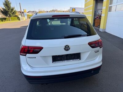 VW Tiguan Gebrauchtwagen
