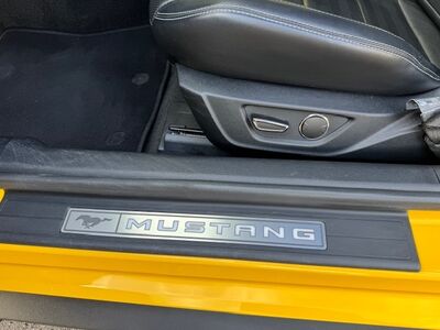 Ford Mustang Gebrauchtwagen Ford Mustang Gebrauchtwagen