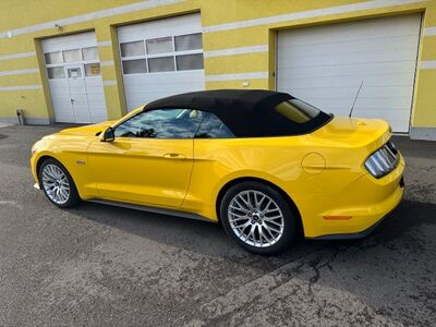 Ford Mustang Gebrauchtwagen Ford Mustang Gebrauchtwagen