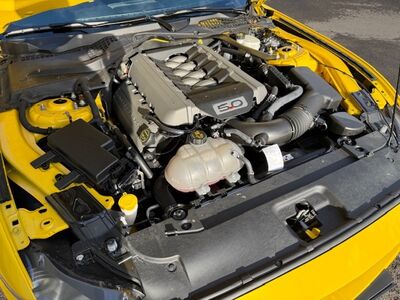 Ford Mustang Gebrauchtwagen Ford Mustang Gebrauchtwagen