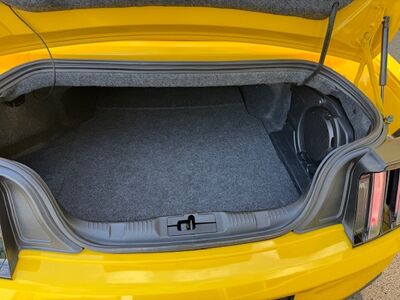 Ford Mustang Gebrauchtwagen Ford Mustang Gebrauchtwagen