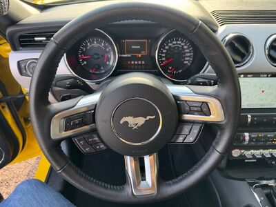 Ford Mustang Gebrauchtwagen Ford Mustang Gebrauchtwagen